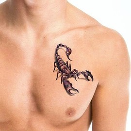 3D Scorpion Temporary Tattoos Temporary Tattoos Stickers Fashionable Fake Tattoos Removable Waterproof Body Art Tattoo Stickers for Men Women Teens Girls Boys (Scorpion)