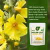 iMATCHME 100% Natural Mullein Leaf Herbal Tea For Lung Cleansing