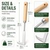 Handheld Crack Weeder Tool for Garden Work – Stainless Steel