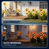 TANSOREN 2 Pack Solar Garden Lights Outdoor, 8 Lighting Modes