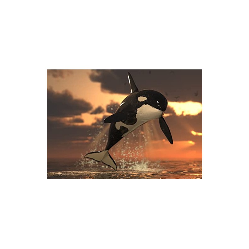 Lais Puzzle Orca 1000 Pieces