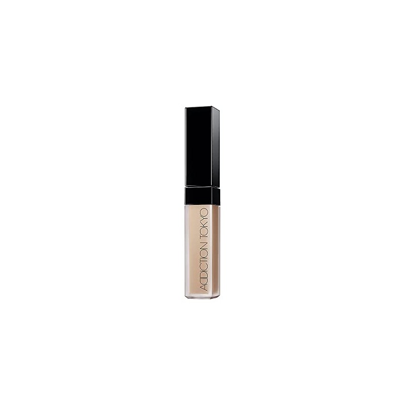 Addiction Skin Reflect Fix Concealer_0.2 fl oz (6.5 ml) /