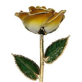 24k Gold Rose - Real Rose Dipped in Gold (2-Tone Orange)