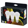 Bellalux LED Bulb for E27 Socket, Matte Look, Warm White