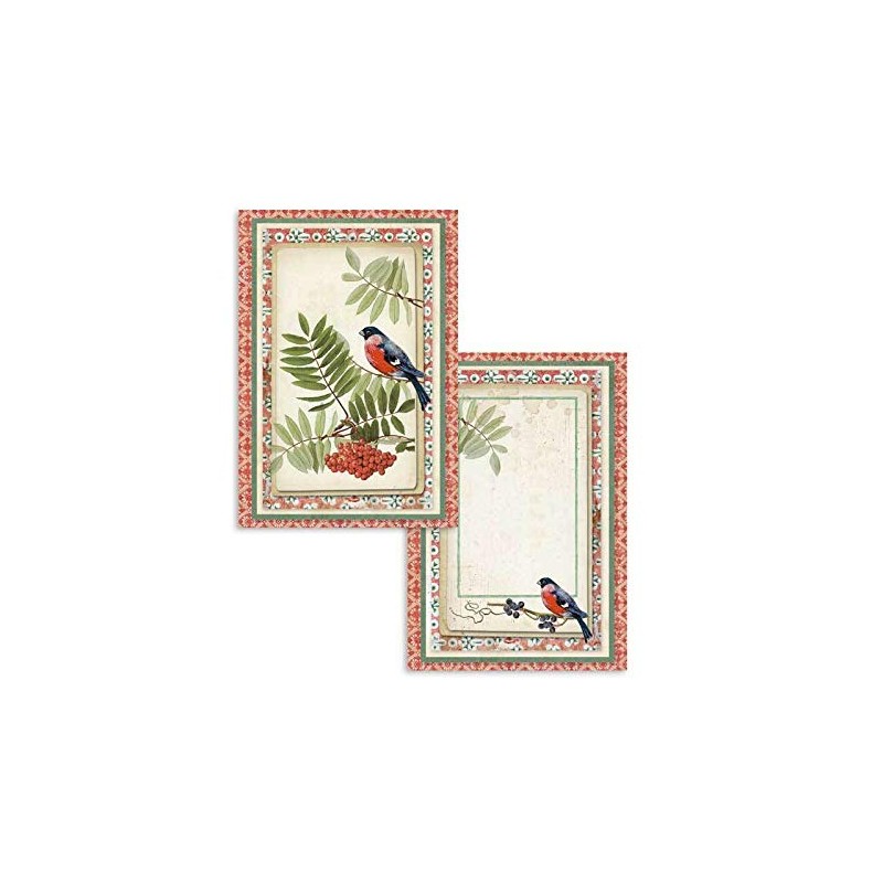 Stamperia Winter Botanic Scrapbooking Cards sbbpc06