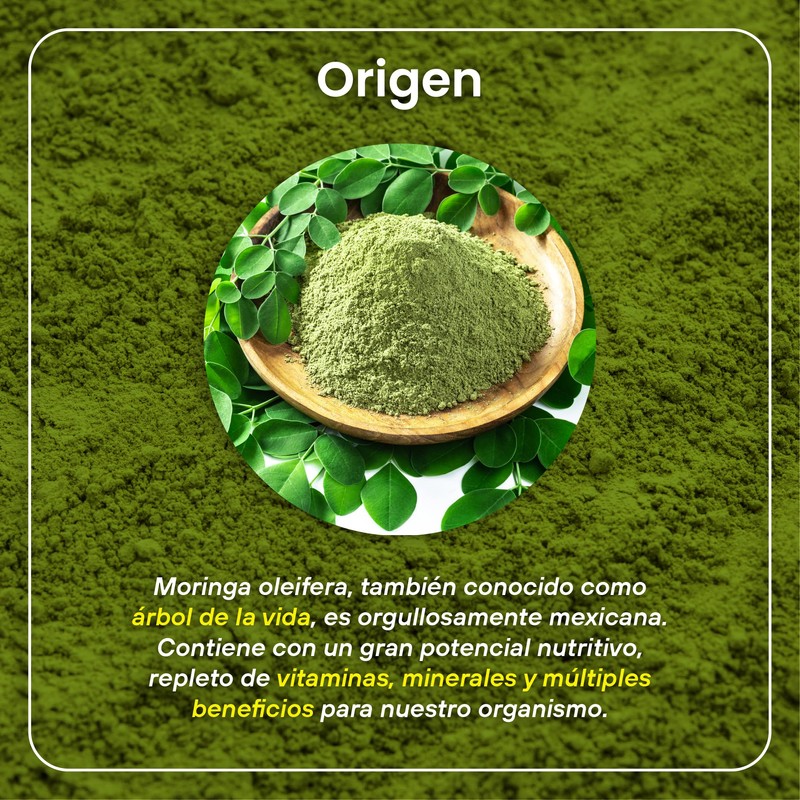 VIZANA NUTRITION | Moringa Orgánica Certificada en Polvo 100g