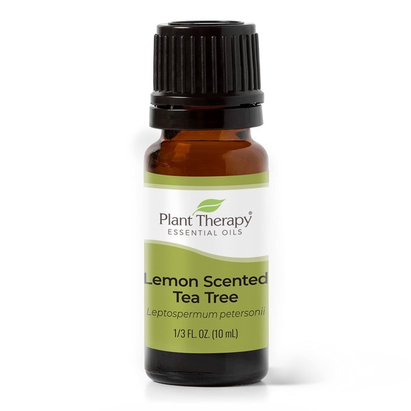 Plant Therapy Lemon Scented Tea Tree Essential Oil 10 mL (1/3 oz) 100% Pure, Undiluted, Natural Aromatherapy for Topical Use & Diffusion, Benefits Include: Uplifting, Refreshing, & Deodorizing
