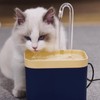 Cat Water Dispenser Automatic Circulation Flowing Water Dispenser Kitten Drinker
