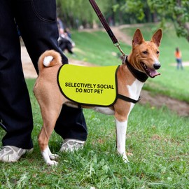 Social Anxiety Dog Jacket Vest Selectively Social Do Not Pet Pet Vest Dog Walking Slogan Warning Vest (Selectively Social -Small)