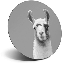 Destination Vinyl ltd Magnet for Refrigerator, Fridge BW - Cute Llama Alpaca Face Animal for Office, Cabinet and Whiteboard, Magnetic Stickers, 37615