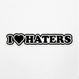 Decal Stickers of I Heart Haters Premium Indoor (No Waterproof) Vinyl Decal Stickers for Laptop Phone Accessory Helmet Car Window Mug Tuber Cup Door Wall Decoration ANDVER3917141BL