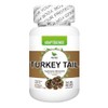 NATSA Turkey Tail, Cola de Pavo 100 cápsulas, Adaptogeno calidad