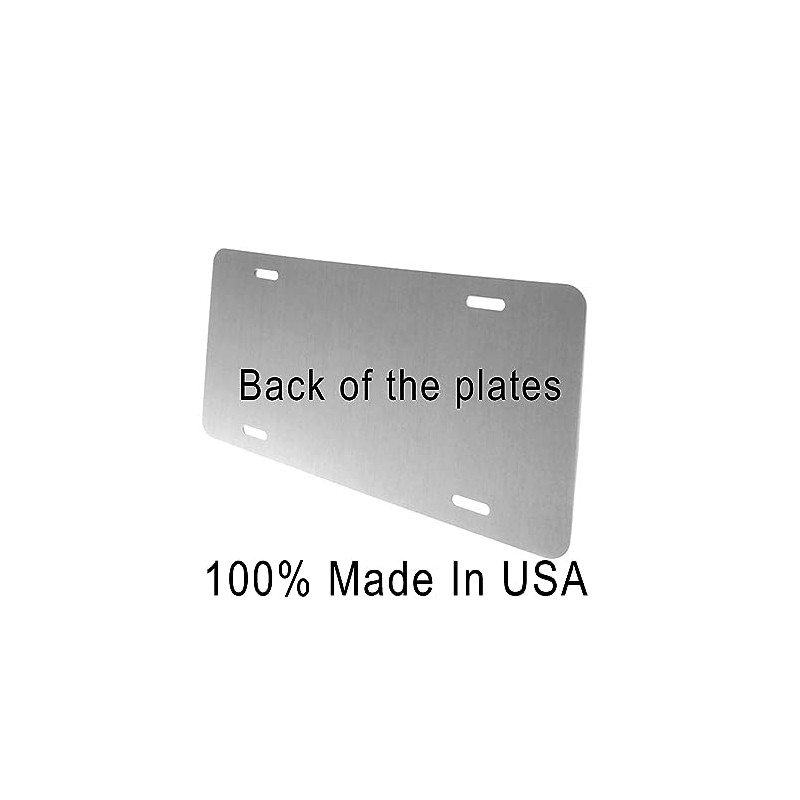 Generic Dubai Flat 00001 Novelty Car Auto License Plate, WORLDAA025