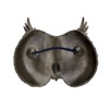 Metallic Bronze Steampunk Owl Head Wall Mask