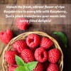 Raspberry Powder 16 oz | Pure Spray-Dried Raspberries for Smoothies,