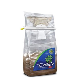 ExHale CO2 EX50003 Exhale 365-Self Activated CO2 Bag, 365