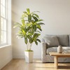 6ft Artificial Dracaena Tree Indoor, Tall Fake Tree with White