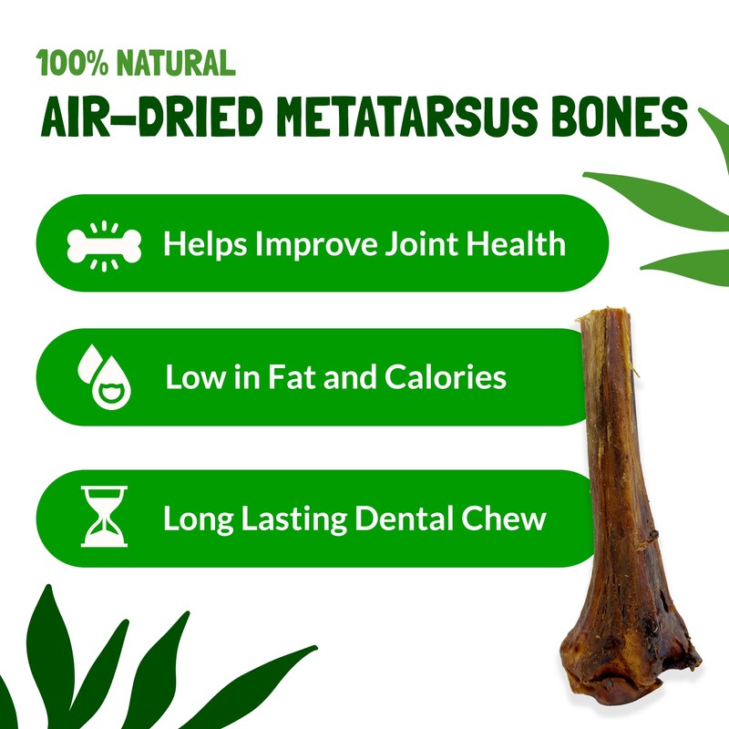 Ostrich Bones for Dogs Metatarsus 100% Natural Long-Lasting Dog Chew