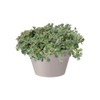 elho Loft Urban Bowl 35 - Flower Pot for Outdoor