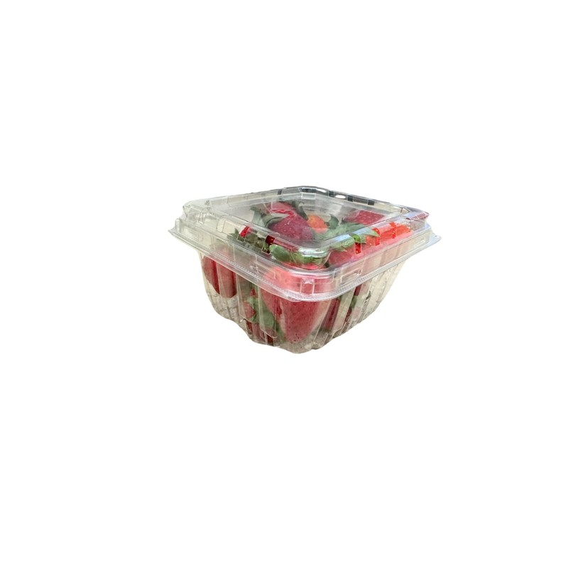 bark and lindy Plastic Berry Basket with Hinged Lids, Pint