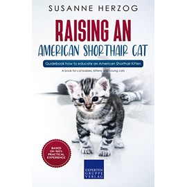  Raising an American Shorthair Cat C Guidebook how to educate an American Shorthair Kitten: A book for cat babies, kittens and young cats
