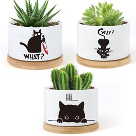 KONROOWEI 3 Pcs Cat Ceramic Plant Pots,Funny Cat Planter Gifts for Women,for Indoor Plants Garden Planters Succulent Pots, with Drainage Holes and Saucer(No Plants)