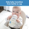 Dr. Brown's Milestones 100% Silicone Baby Bottle Handles, Wide-Neck, Removable