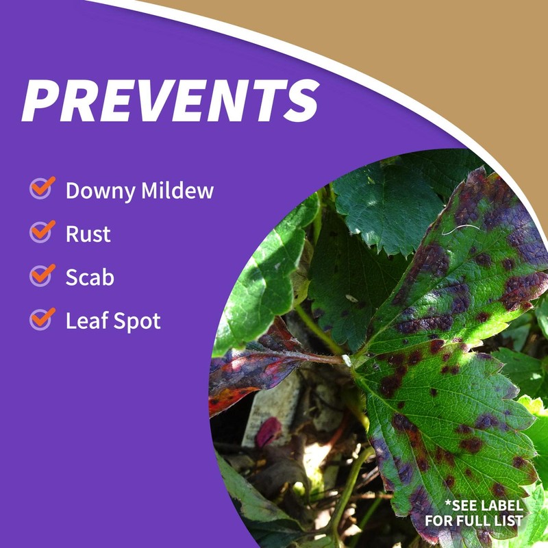 Bonide Captain Jack's Fruit Tree Spray, 16 oz Concentrate, Insect