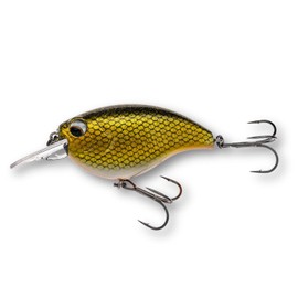 LMAB Crankbait 5.5 cm Power Vibe 55F - 3 Running Depths, Floating - Wobbler Bass, Crankbait Wobbler, Artificial Bait Fishing, Perch Wobbler, Spin Fishing Bait (Golden Roach, SR, Running Depth 1-2 m,