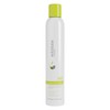 GREAT CLIPS Solutions Thermal Protection Spray, 6.5oz