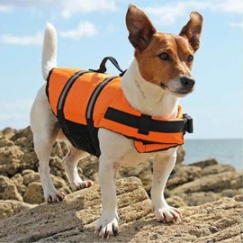 AIMALL Dog Life Jacket Pet Safety Vest for Swimming, Boating, Canoeing with Reflective Stripes, Adjustable Buoyancy Vest, Quick-Release Buckles for Dogs of