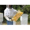 Prairie River Honey Farm Raw Honey Pure Natural Nebraska Honey