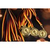 Trophy Factory – Volleyball Medals Set of 10 Metal –