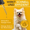 ENEMEL® Multi Vitamin Complex for Dogs [30 ml] | More