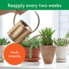 Miracle-Gro Succulent Plant Food, Liquid Plant Food for All Indoor