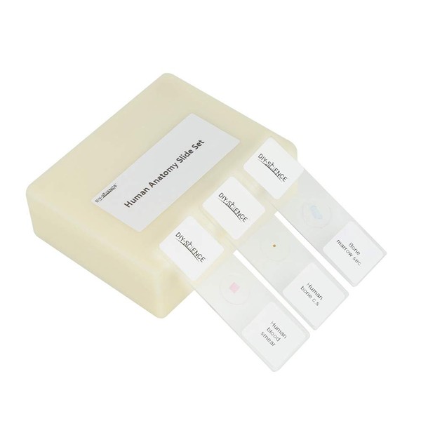 DIY-SCIENCE Prepared Human Tissue Anatomy Microscope Slides Set, 17pcs Hand-Prepared