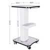 Beauty Instrument Cart Salon Trolley Cart Max Load 40kg Rolling