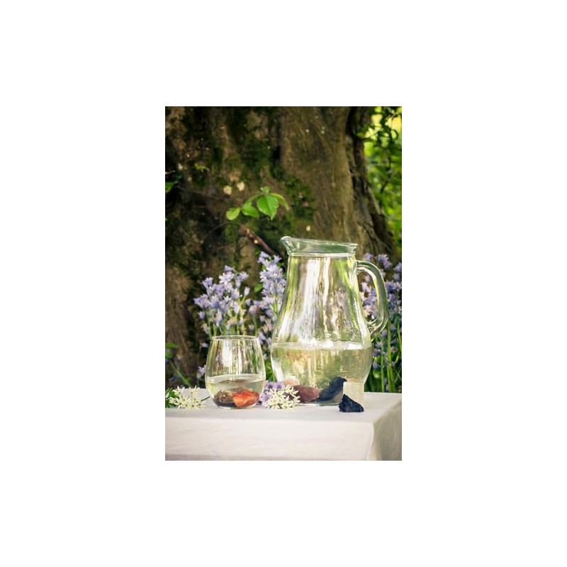 Lebensquelle Plus Wassersteine Premium Mischung | 10 Stck beliebte Steine