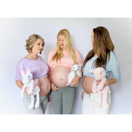 MBHB Digital Voice Recorder, Teddy Bear Stuffed Animal with 20-Second Recorder - Capture Baby's Heartbeats, for Baby Showers, Birthdays & Occasions - Vintage Animals - Vintage Pig