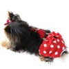 FUNNYDOGCLOTHES Dog Diaper with Suspenders RED Polka DOT Reusable Washable