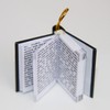 La Bella y la Bestia - Collar de Libro con