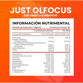 Olnatura Just Olfocus 90 cápsulas, Suplemento Alimenticio para la Salud Cerebral con Fosfatidilserina, L-Glutamina, Zinc, Magnesio, Vitamina B, Sin Az