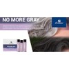 L Lorenzo No More Gray Color Additive Specialize for Resistant