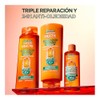 Garnier Fructis Borrador de Daño Control Grasa Shampoo 650ml