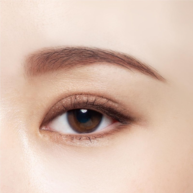 Chacott Chacot Face Color Palette 508 Loved Brown