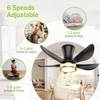 DAMINY 30 Inch Black and Gold 5 Blade Ceiling Fan