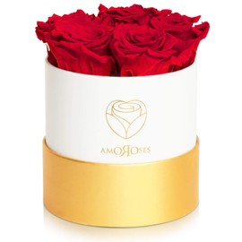 Amoroses Petite - Gift Box 5 Eternal Stabilised Roses - Elegant Bouquet of Real Flowers | Gift Idea (Petite White Box with Red Roses)