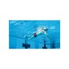 StrechCordz Pull Rope Aqua Gym Short Belt Swimming Training and
