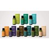 ACEITE ESENCIAL DE CIPRÉS 30 ML. GRADO TERAPEUTICO, puro natural