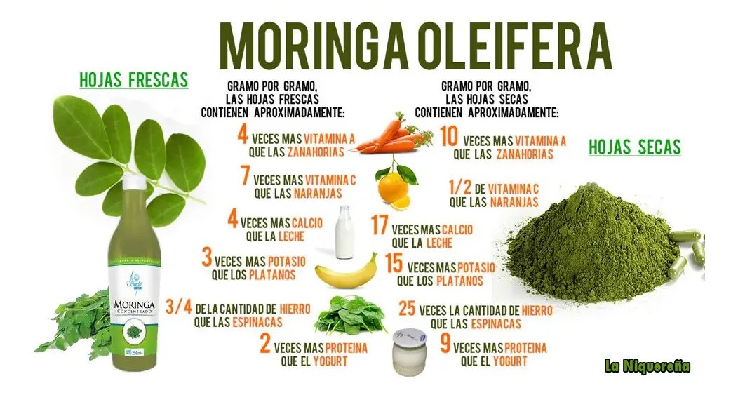Moringa Líquida Bebida Sheló Nabel Rico Vitamina 2 Pz S605-2